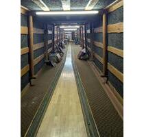 Lager, Lagerraum im Keller, Storage, Weinkeller, Kellerlager, - Oberhausen Alsfeld