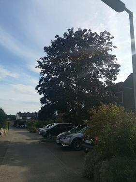 Foto - Ihr neues Familienkapitel: Platzwunder in sonniger Bestlage!