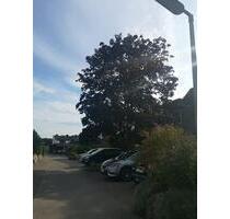 Ihr neues Familienkapitel: Platzwunder in sonniger Bestlage! - Norderstedt Glashütte