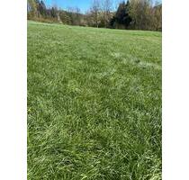 Grünland Wiese Futter - 200,00&nbsp;EUR Kaltmiete, ca.&nbsp; 0,00&nbsp;m&sup2; in Freyung (PLZ: 94078)