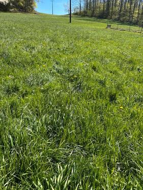 Foto - Grundst&uuml;ck zur Miete in Freyung