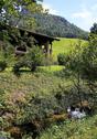Foto - andere zur Miete in Inzell