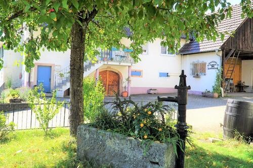 Foto - Ferienhaus Ferienwohnung Lahr Schwarzwald Region Europapark