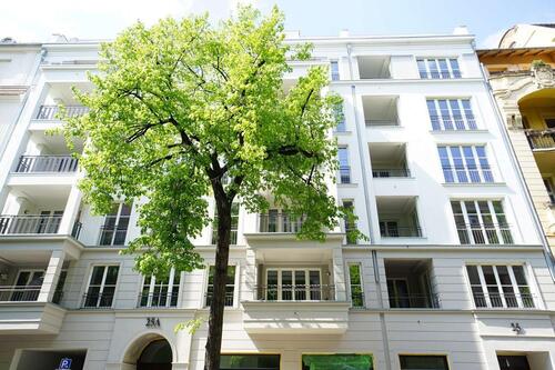 Foto - andere in Berlin