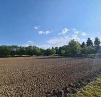 Gartenparzelle - 250,00&nbsp;EUR Kaltmiete, ca.&nbsp; 0,00&nbsp;m&sup2; in Münster (PLZ: 48143)