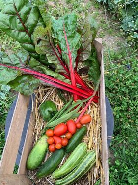 Foto - Grundst&uuml;ck zur Miete in Münster