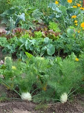 Foto - Grundst&uuml;ck in Münster