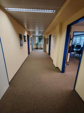 Foto - andere in Chemnitz zur Miete