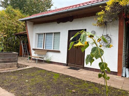 Foto - Pachtgarten Kleingarten in ruhiger Lage in Leinefelde abzugeben