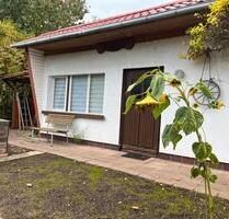 Pachtgarten Kleingarten in ruhiger Lage in Leinefelde abzugeben - Leinefelde-Worbis