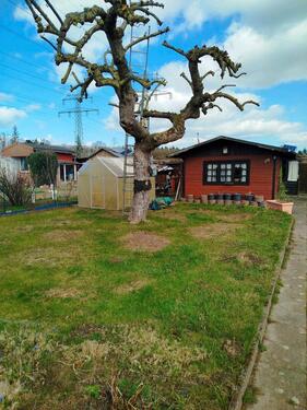 Foto - Grundst&uuml;ck zur Miete in Bad Schwartau