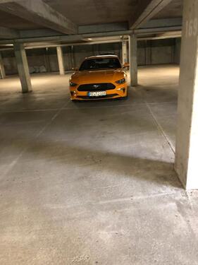 Foto - andere in Mainz