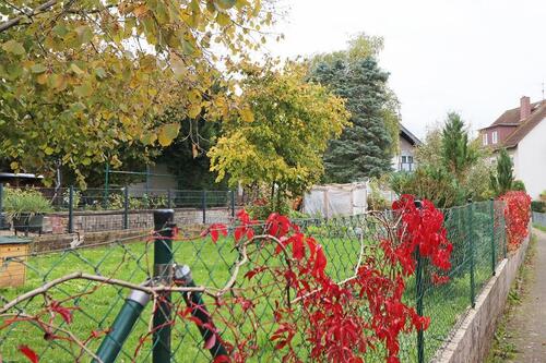 Foto - 4 Zimmer Einfamilienhaus in Dreieich
