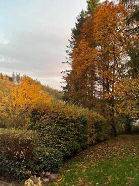 Foto - andere in Gotha zur Miete