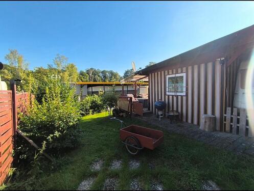 Foto - andere in Mücke