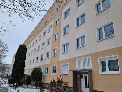 Foto - Für Sie frisch renoviert - zum wohlfühlen mit großem Balkon!