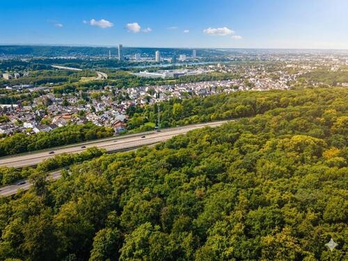 Foto - Internetauktion - Vertragsfreie Waldfläche in Bonn-Ramersdorf *nahe des Dornhecksees*