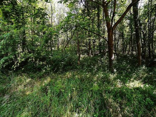 Foto - andere in Bonn