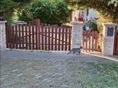 Foto - Einfamilienhaus zum Kaufen in Ulm