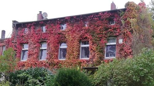 Foto - 3 Zimmer Etagenwohnung in Schortens