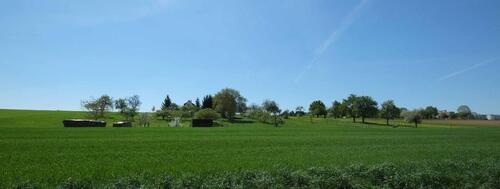 Foto - 4 Zimmer Etagenwohnung zur Miete in Leonberg