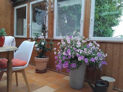 Foto - 7 Zimmer Doppelhaushälfte zur Miete in Lingen (Ems)