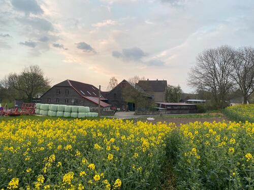 Foto - Grundst&uuml;ck in Dortmund