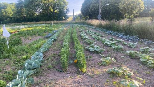 Foto - Grundst&uuml;ck in Dortmund zur Miete