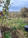 Foto - 4 Zimmer Einfamilienhaus in Heringen (Werra)