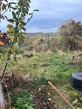 Foto - 4 Zimmer Einfamilienhaus in Heringen (Werra)