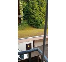 Gemütliche kleine 1 Zimmerwohnung in Baiersbronn