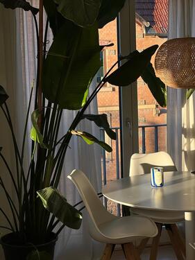 Foto - Etagenwohnung in Leonberg zur Miete