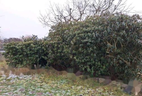 Foto - Grundst&uuml;ck in Langenhagen zur Miete