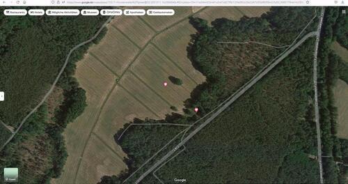 Foto - 2 Stk. Wald- und Landwirtschaftsfläche in 15518 Petersdorf am See