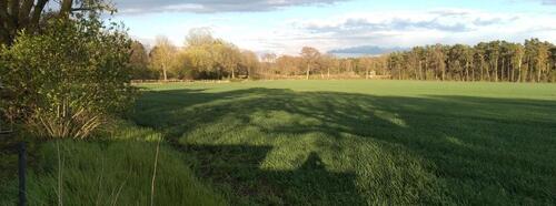 Foto - Grundst&uuml;ck zur Miete in Lüneburg