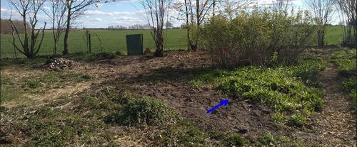 Foto - Grundst&uuml;ck in Lüneburg zur Miete