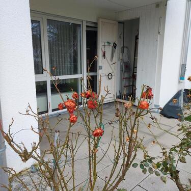 Foto - Zentrumsnah 2-Zimmer Erdgeschoss Wohnung