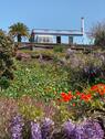 Foto - Casa Palmera Canaria, Ferienhaus auf La Palma mit großem Pool