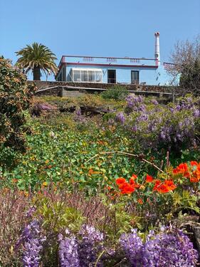 Foto - Casa Palmera Canaria, Ferienhaus auf La Palma mit großem Pool