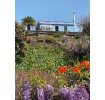 Casa Palmera Canaria, Ferienhaus auf La Palma mit großem Pool - Bremen Schwachhausen