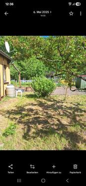 Foto - pachtgarten abzugeben abzugeben sofort