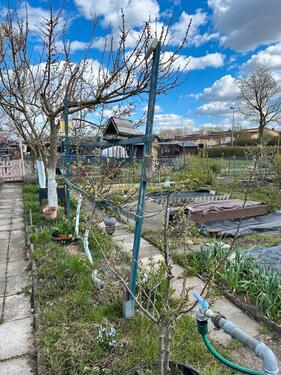 Foto - Grundst&uuml;ck in Wolfsburg
