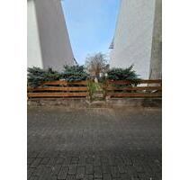 GartenFreizeitgrundstück in Kröv zu vermieten - Wittlich