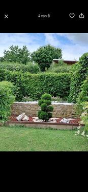 Foto - Grundst&uuml;ck in Eisenberg zur Miete