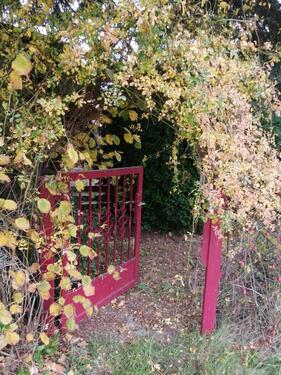 Foto - Bungalow mit Weitblick in die Dahlener Heide