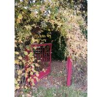 Bungalow mit Weitblick in die Dahlener Heide - Oschatz