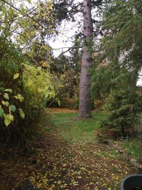 Foto - Bungalow in Oschatz