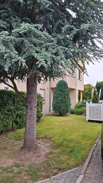 Foto - Einfamilienhaus, Doppelhaushälfte, Immobilie mit Garten, Garage