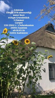 Foto - Charmantes Reetdachhaus in Nordseenähe zu vermieten