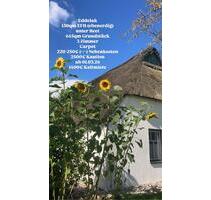 Charmantes Reetdachhaus in Nordseenähe zu vermieten - Eddelak